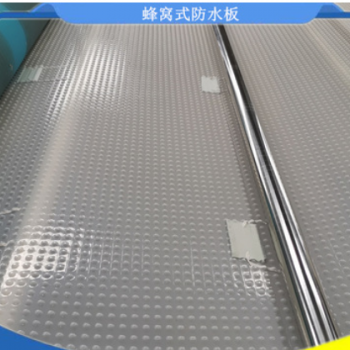 廠家供應 國標eva蜂窩防水板 高速公路水庫蜂窩防排水板