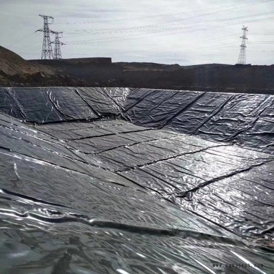 宣威廠家銷售高密度聚乙烯土工膜 HDPE土工膜 用途廣泛量大優惠