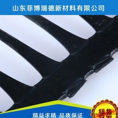 菲博瑞德 出售HDPE單向塑料土工格柵  現(xiàn)貨直銷(xiāo)高品質(zhì)單向塑料 ** hdpe土工格柵