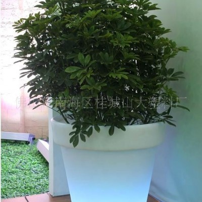 提供大型滾塑加工，滾塑花盆，異型滾塑加工(圖)