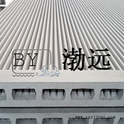 專注生產16年塑燒板帶PTFE涂層BYSL1500/9等多種型號 塑燒板濾芯 燒結板生產廠家