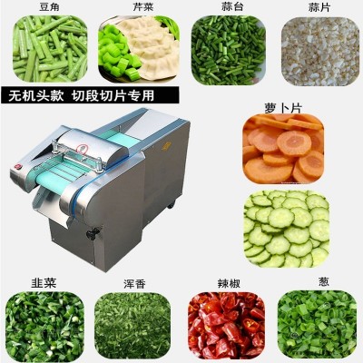 蒜苗豆角切段切菜機 蔬菜切絲切片機 電動不銹鋼切菜機 豆角切段切菜機