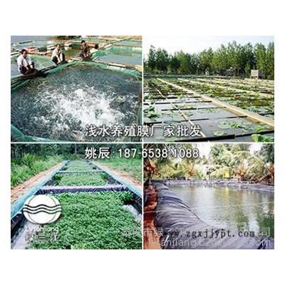 佛山現貨供應聚氯乙烯塑料布