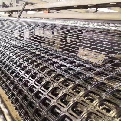 **向拉伸塑料土工格柵 聚丙烯塑料土工格柵 強度高質量優