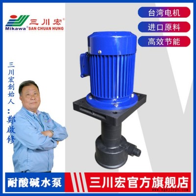 槽外立式泵 三川宏泵業SEP5032聚丙烯PP塑料材質電鍍蝕刻電泳噴淋廢氣洗滌塔強酸堿化工污水處理用可空轉槽外立式泵