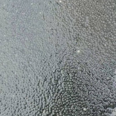 寧波貴宏l服務周到(圖)-厭氧污泥價格-安徽厭氧污泥