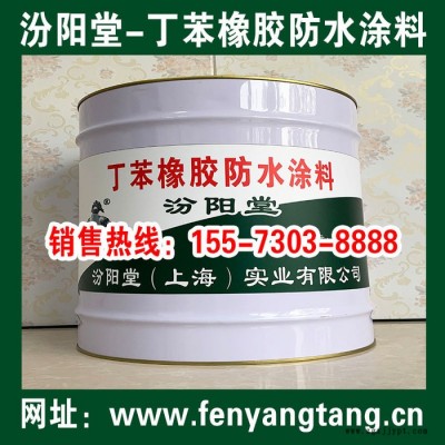 丁苯橡膠防水涂料、操作簡單、丁苯橡膠防水涂層、專業廠商
