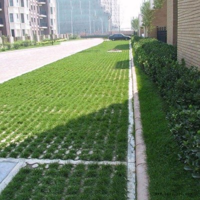 現澆植草地坪 植草地坪廠家 延安植草地坪停車場 延安植草地坪模具 中創華美