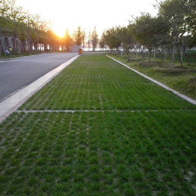 南京植草地坪 南京現澆植草地坪 植草地坪施工 植草地坪模具 中創華美