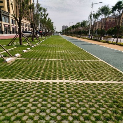 現澆混凝土植草地坪 生態停車場地坪 中創華美
