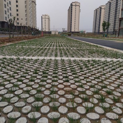 植草地坪施工 現澆停車場路面 中創華美