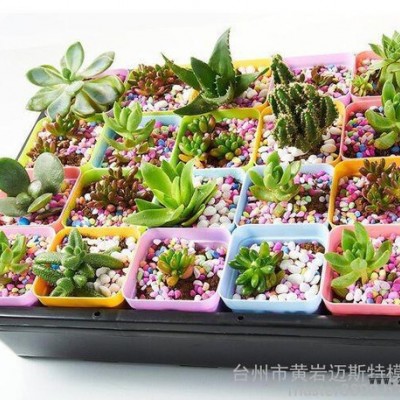 直銷標準模具 按客戶要求訂購生產**注塑花盆模具