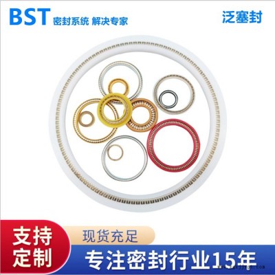 高品質 泛塞封 往復旋轉彈簧蓄能油封 LNG 注膠點膠槍激光 密封圈