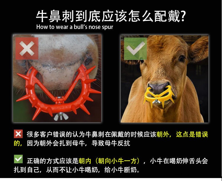 大號牛鼻刺AA詳情頁 (1).jpg