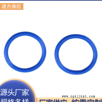 廠家供應(yīng)硅膠O形密封圈橡膠圈 氟橡膠密封圈導向環(huán)油密封圈