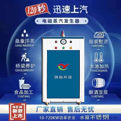 性能高電加熱設(shè)備 模溫機(jī)用電加熱蒸汽發(fā)生器 電熱蒸汽鍋爐 滄州國揚(yáng)廠家 可按需定制