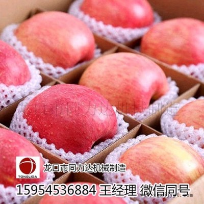木瓜包裝網套機，蘋果網套機，珍珠棉機